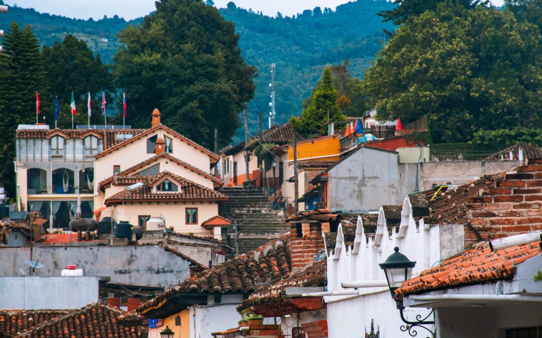 Explorando la Importancia de los Humedales en San Cristóbal de las Casas, Chiapas